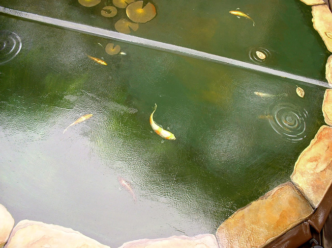 Koi Pond Hottub Cover